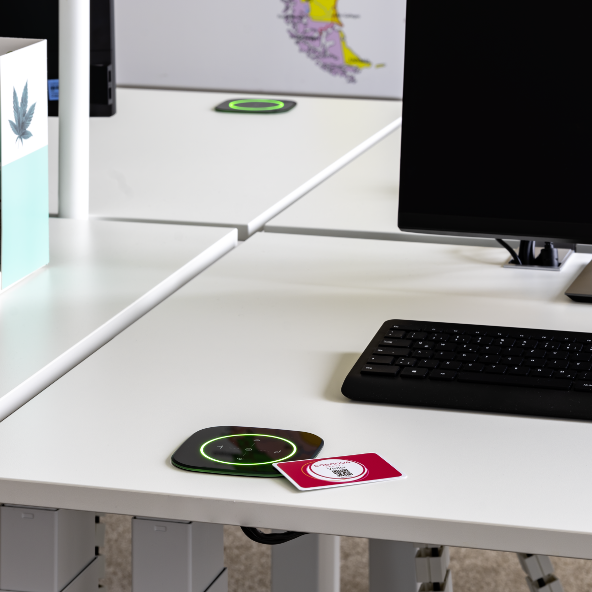 GoBright Desk Booking System - Cosnova - Wini