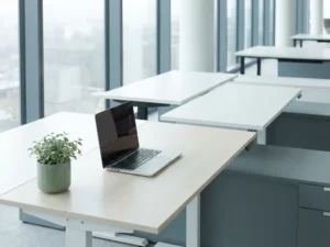 Ergonomic desk with open laptop and small potted plant in a sunlit open-plan office with floor-to-ceiling windows.