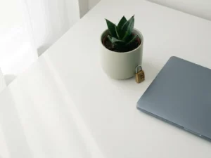 Eine grüne Salbeipflanze im Topf neben einem geschlossenen Laptop und einem kleinen Zahlenschloss auf einem minimalistischen weißen Schreibtisch, darüber fällt sanftes Tageslicht.