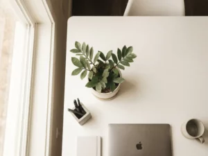 Une plante de bureau verdoyante et florissante trône au centre d'un bureau blanc minimaliste, sur lequel sont posés un ordinateur portable fin et un porte-stylos, le tout baigné d'une douce lumière naturelle.